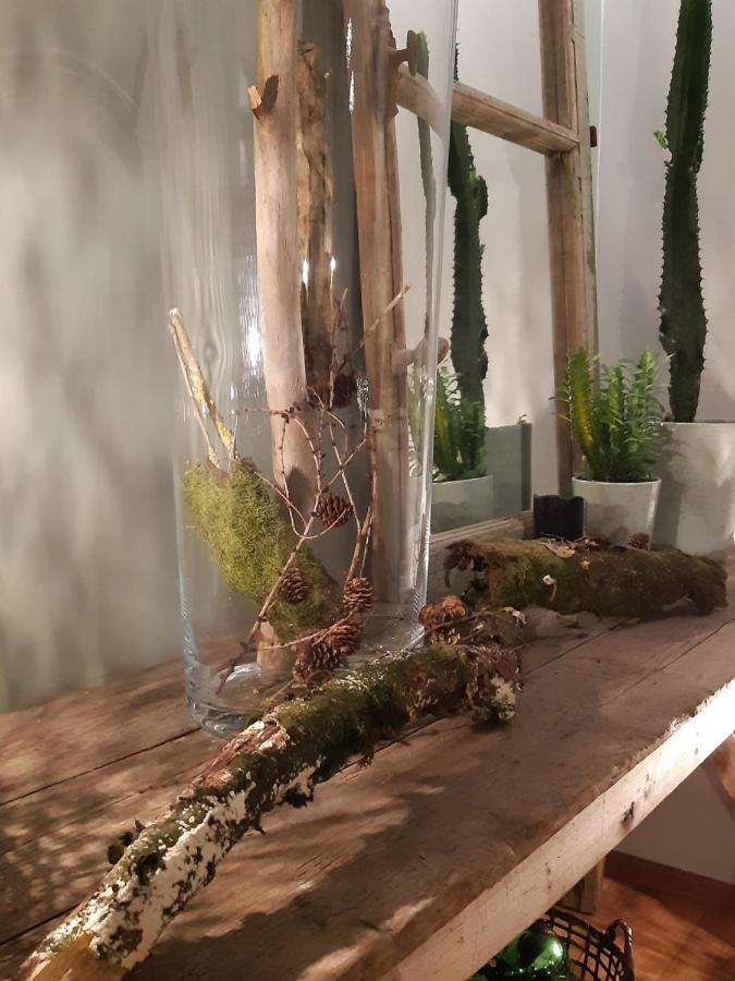 Chambres D'Hotes Herbes Folles Steenwerck Екстериор снимка